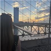 GCSE Chemistry tutor specialising in all exam boards - online 1:1 lessons